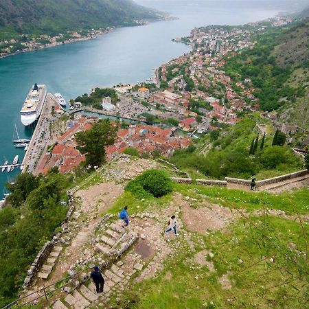 Novi Svet Apartment Kotor Bagian luar foto